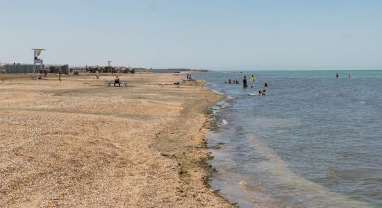 SeaZone Beach