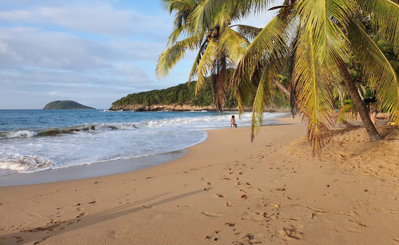 Photo de Plage de la Perle avec sable brun de surface