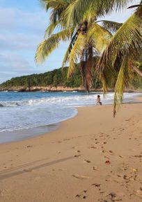 Île de Basse-Terre