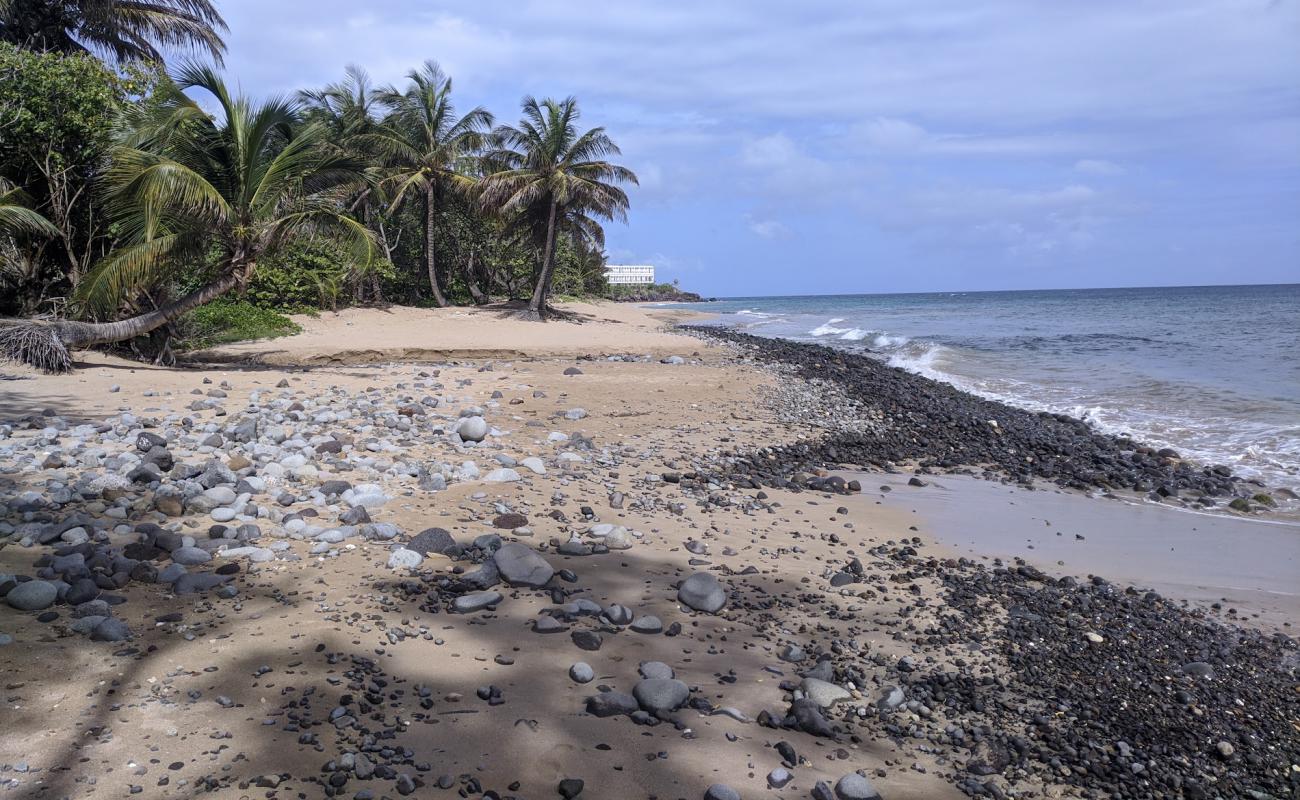Photo de Plage du Grand Bas-Vent avec sable brun de surface