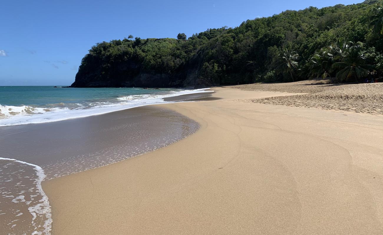 Photo de Plage de Tillet avec sable brun de surface