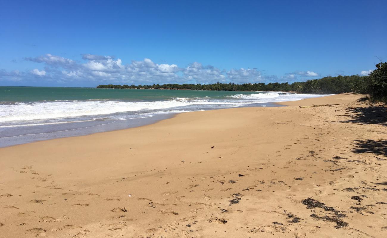 Photo de Plage de Cluny avec sable fin marron de surface