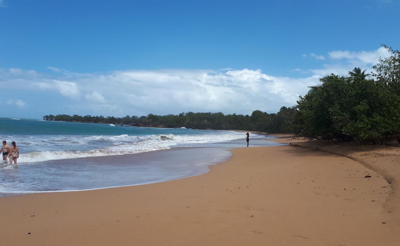 Photo de Plage de Cluny II avec sable brun de surface