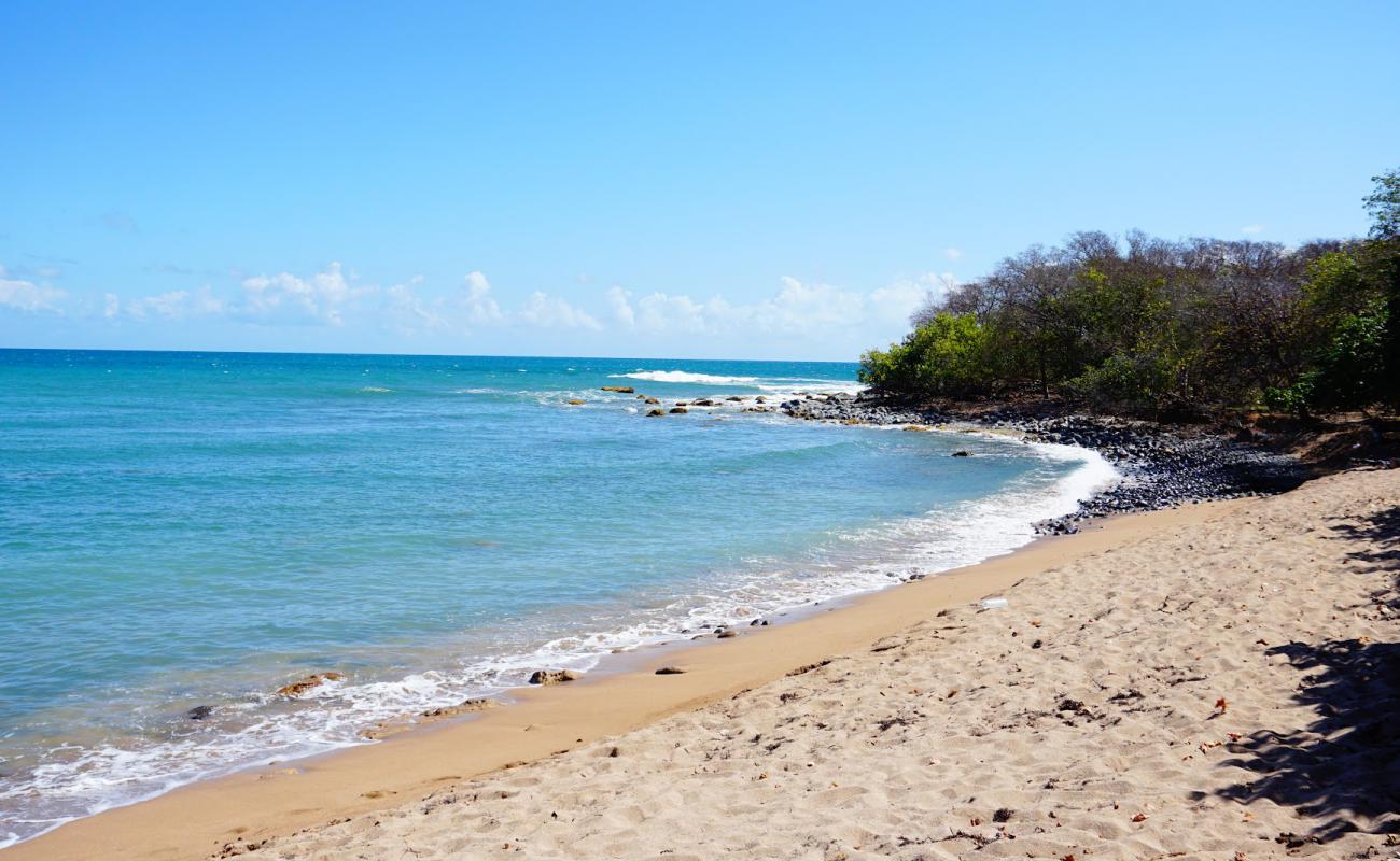 Photo de Anse des Iles beach avec sable brun de surface
