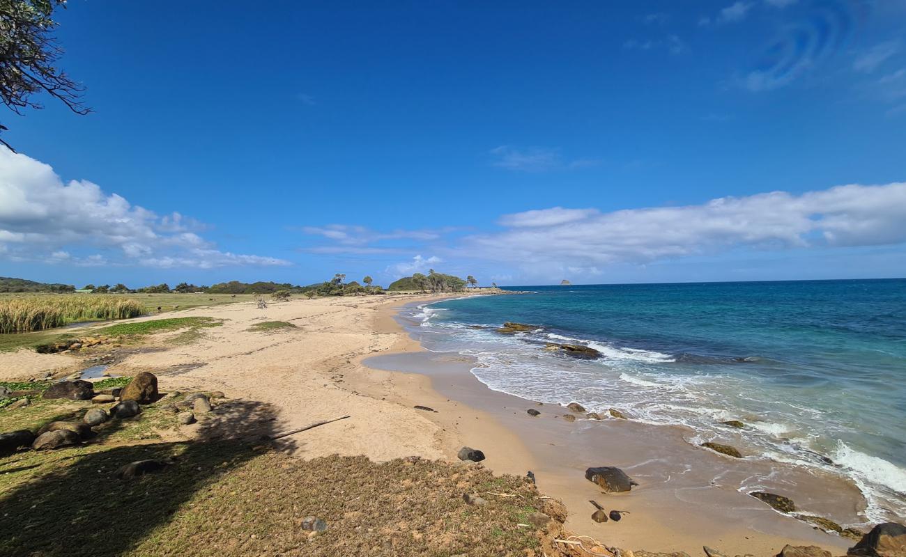 Photo de Anse du Petit Fort Beach avec sable brun de surface