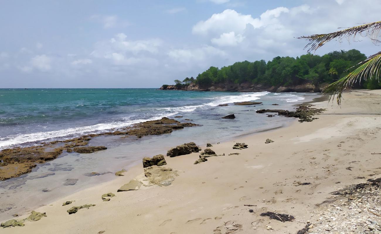 Photo de Plage de Nogent avec sable brun de surface