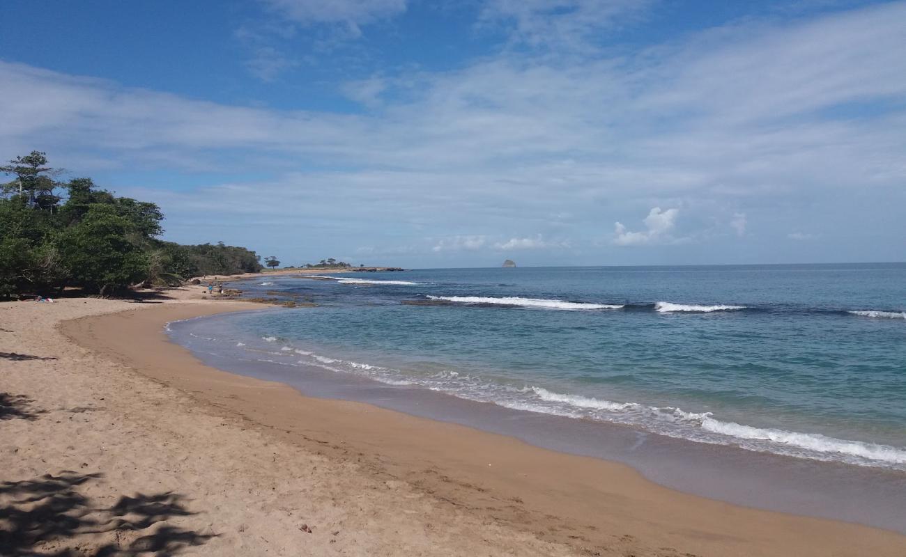 Photo de Anse Vinty Beach avec sable brun de surface