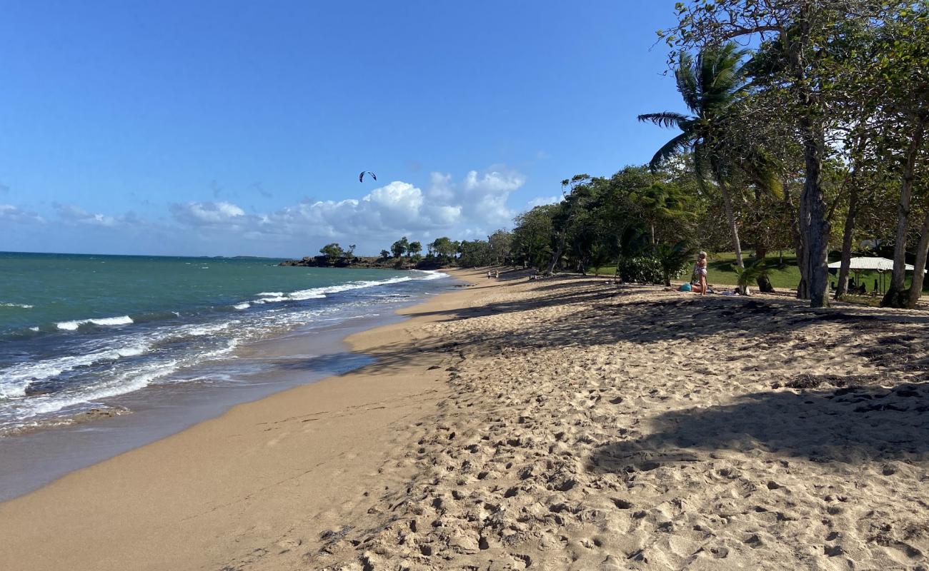 Photo de Plage des Amandiers avec sable fin brun de surface