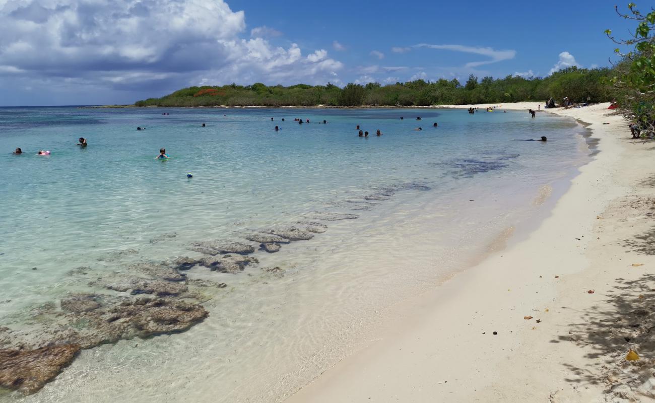 Photo de Plage d'Antigues avec sable fin et lumineux de surface