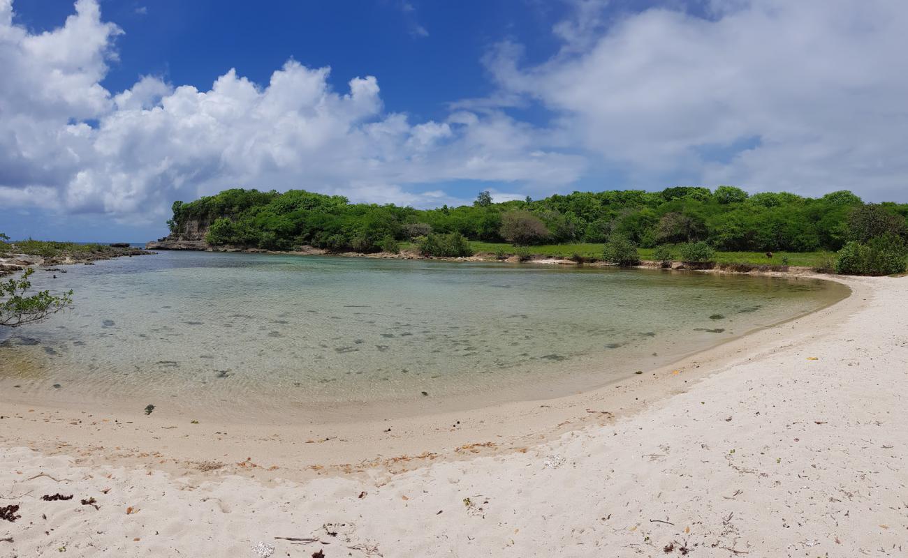 Photo de Anse Colas avec sable fin et lumineux de surface