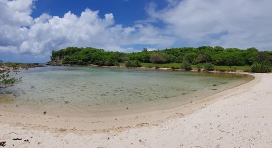 Anse Colas