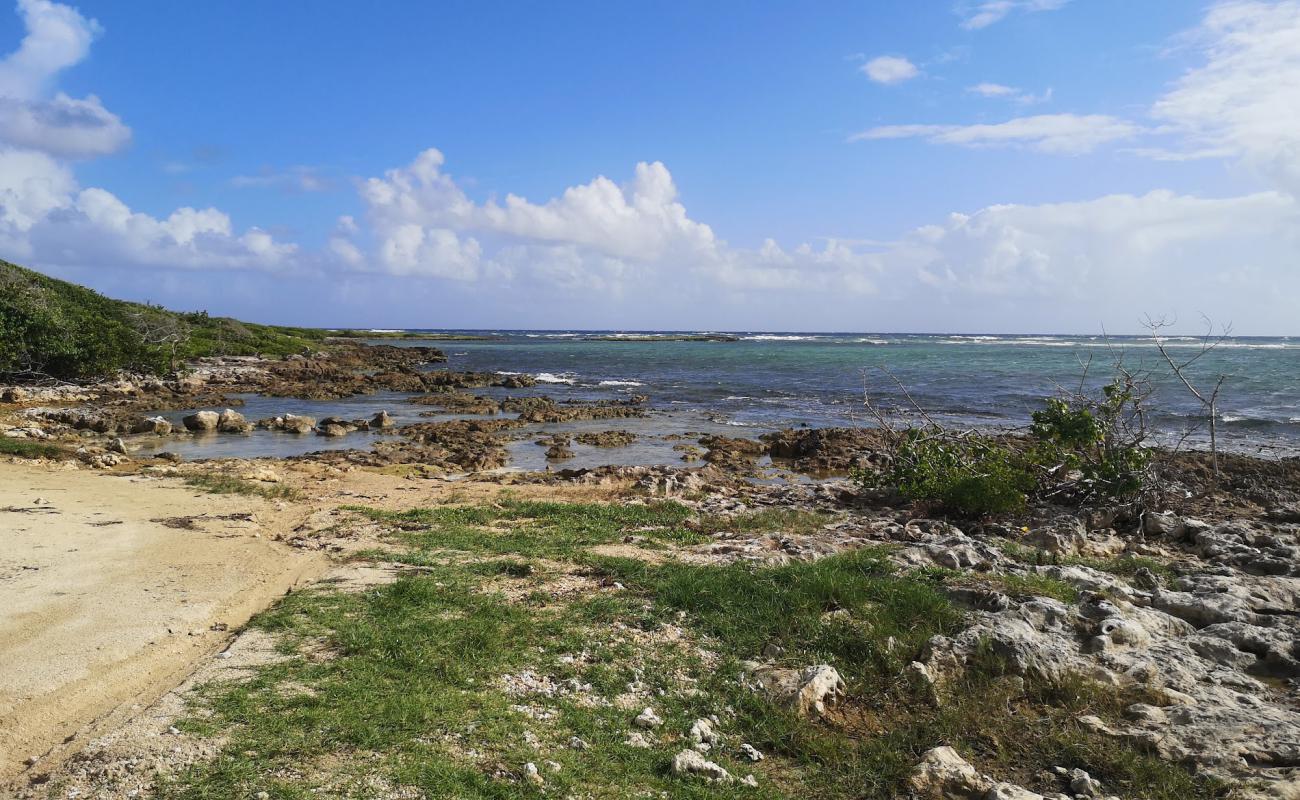 Photo de Plage De L'anse Ste Marguerite avec terrain rocheux de surface