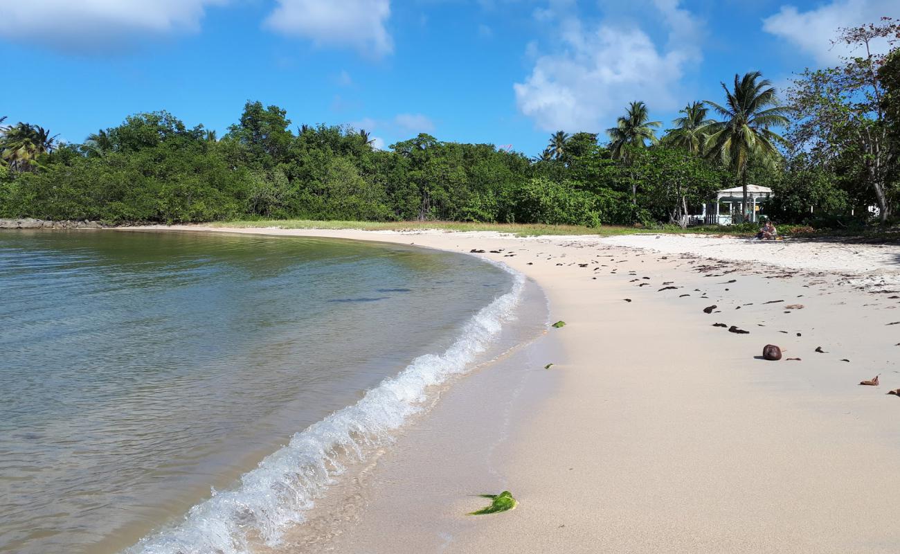 Photo de Plage de la Baie du nord ouest avec sable beige de surface