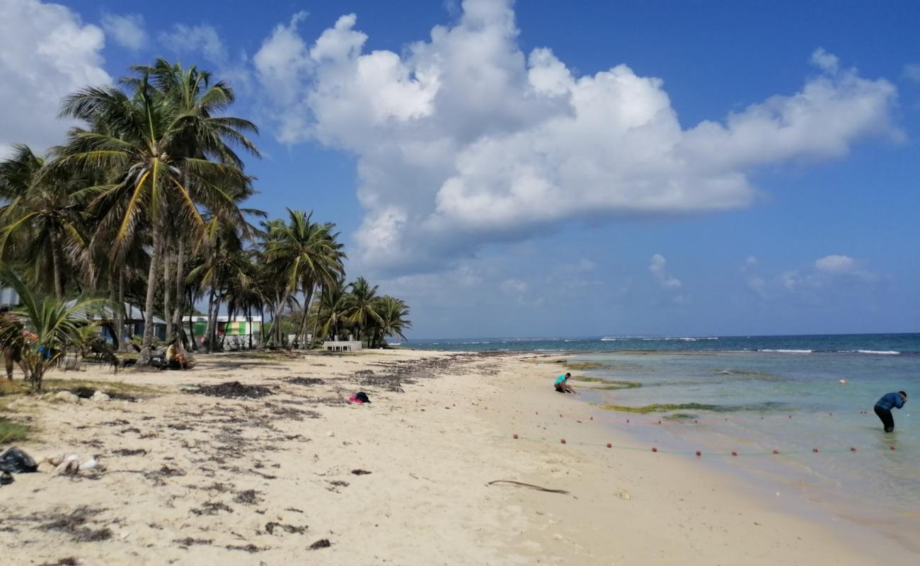 Photo de Plage de Montal avec sable beige & pierres de surface