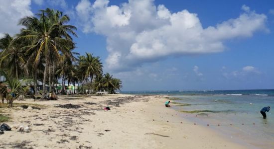 Plage de Montal