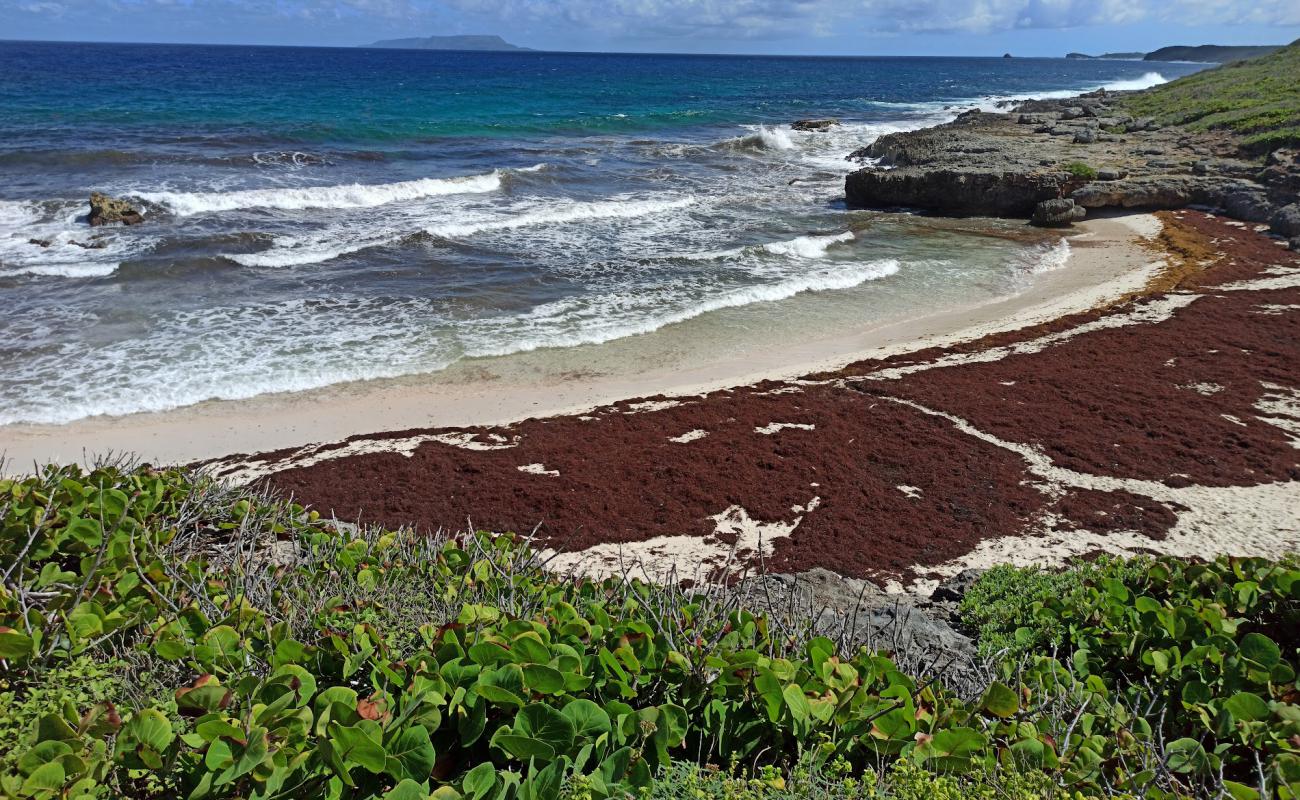 Photo de Plage des Rouleaux avec sable beige de surface