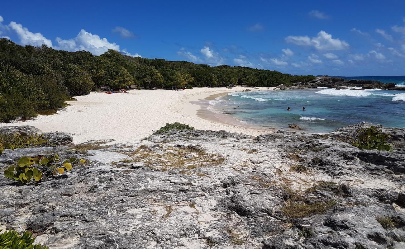 Photo de La Douche Beach avec sable beige & pierres de surface
