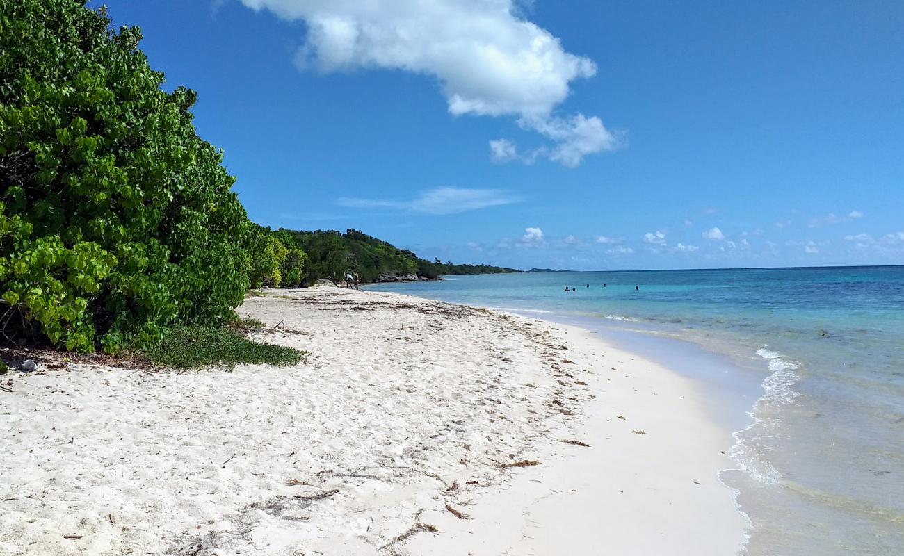 Photo de Anse du Mancenillier Beach avec sable beige fin de surface