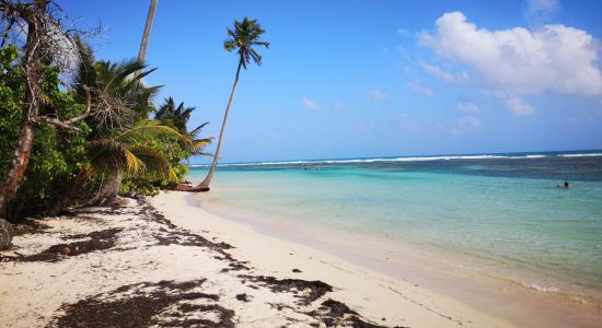 Plage de Bois Jolan