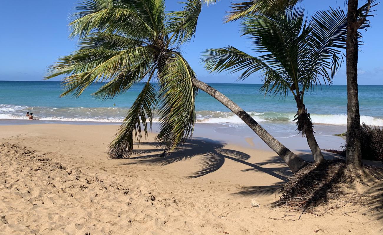 Photo de Plage de la Caravelle avec sable lumineux de surface