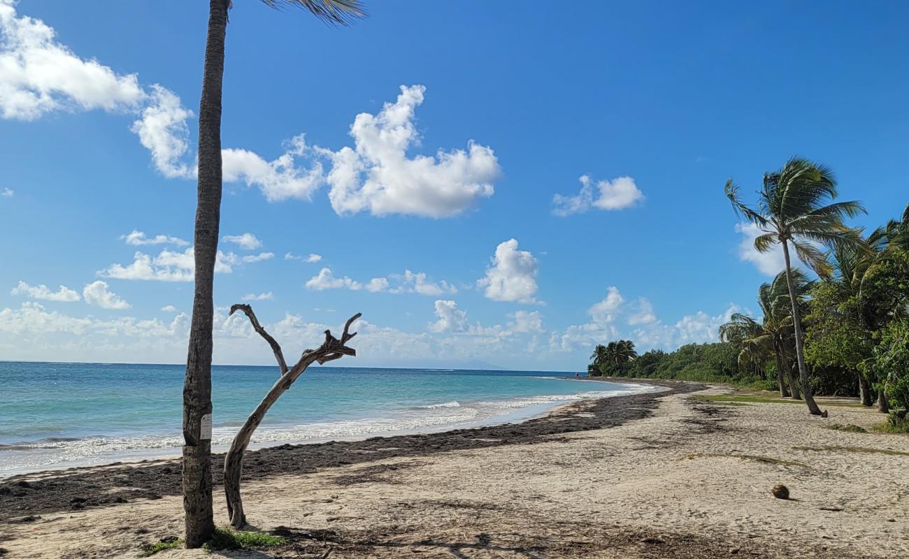 Photo de Plage des Salines avec sable lumineux de surface