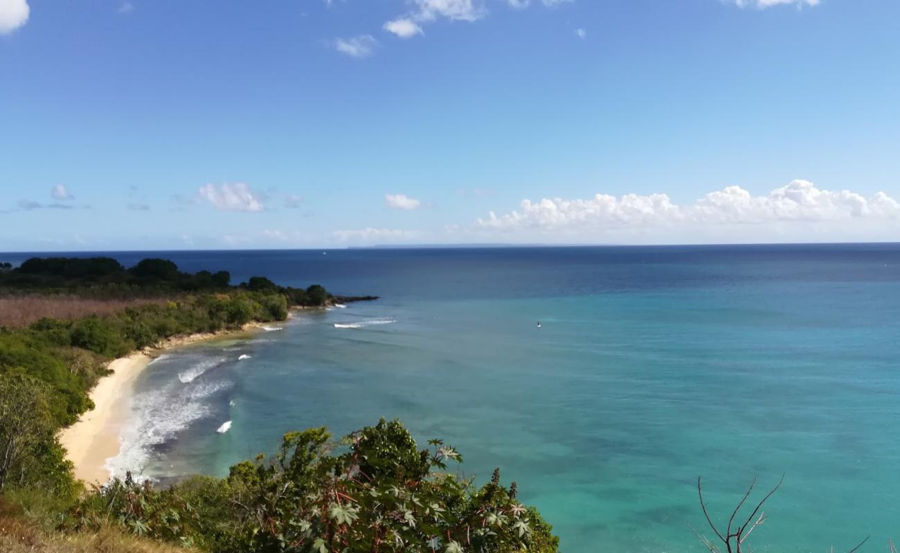 Photo de Le Gosier Beach avec sable lumineux de surface