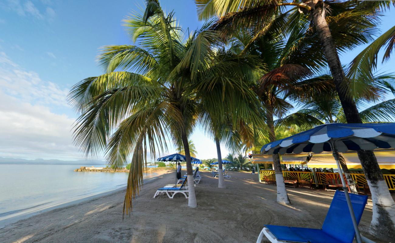 Photo de Canella Beach avec sable beige fin de surface