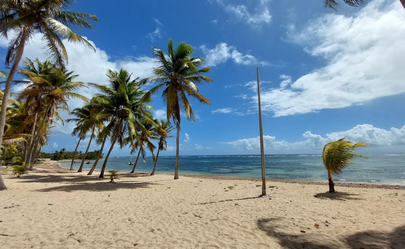 Photo de Plage à Fifi avec sable beige de surface