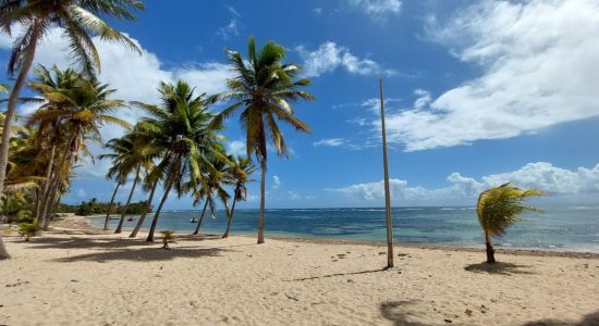 Plage à Fifi