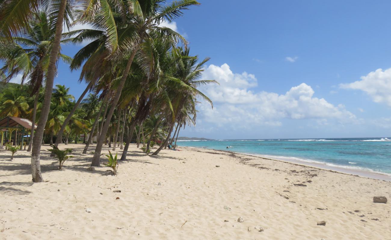 Photo de Anse du Souffleur avec sable beige fin de surface
