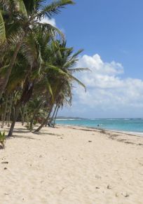 Île de La Désirade