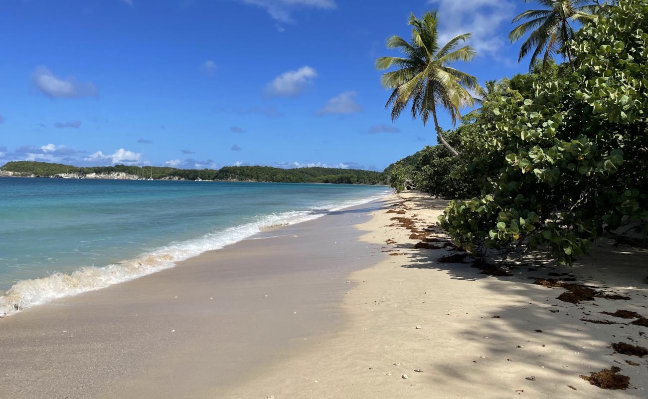 Photo de Plage Moustique avec sable beige fin de surface