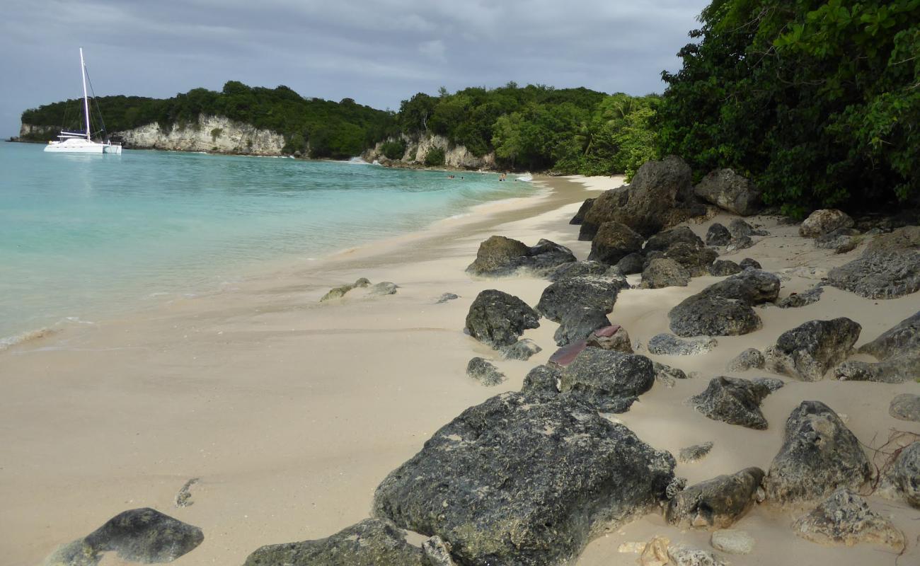 Photo de Marie Galante beach avec sable beige fin de surface