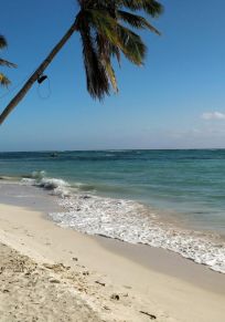 Île de Marie-Galante