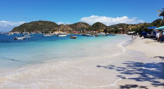 Anse du Fond Cure Beach