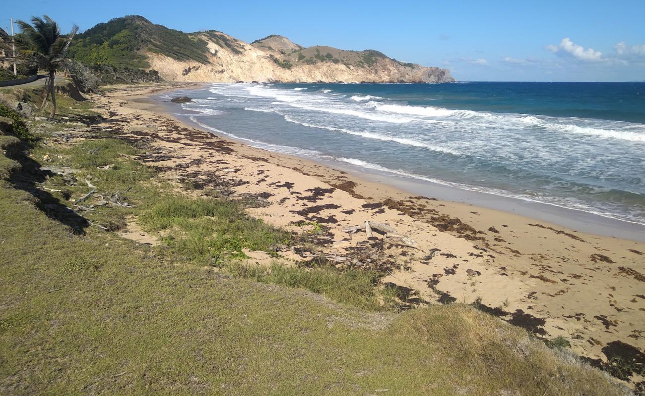 Photo de Plage de Grande Anse avec sable lumineux de surface