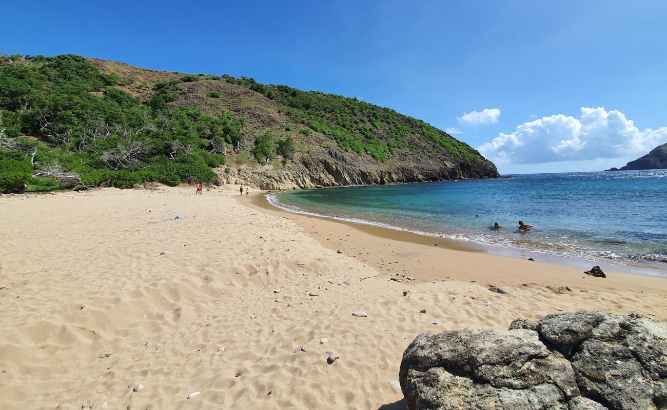 Photo de L'anse Rodrigue avec sable beige de surface