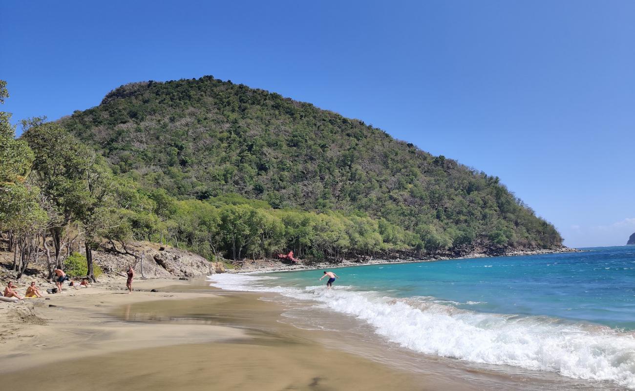 Photo de Plage de l'Anse Crawen avec sable lumineux de surface