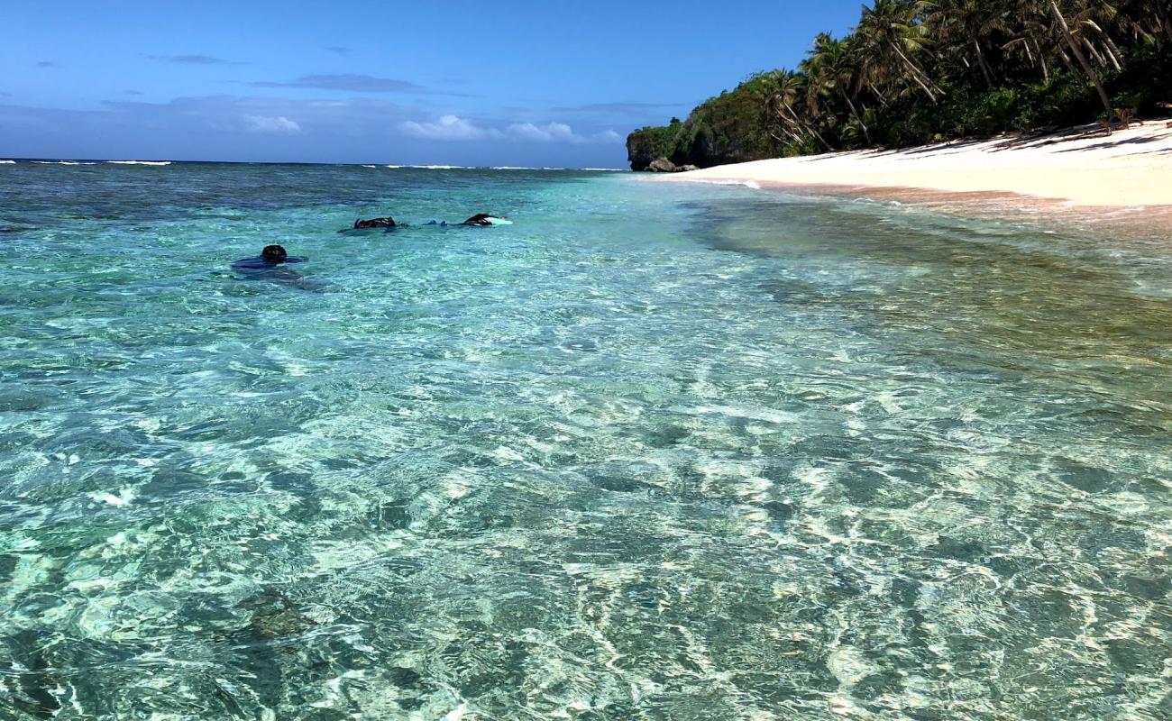 Photo de Star sand beach avec sable lumineux de surface