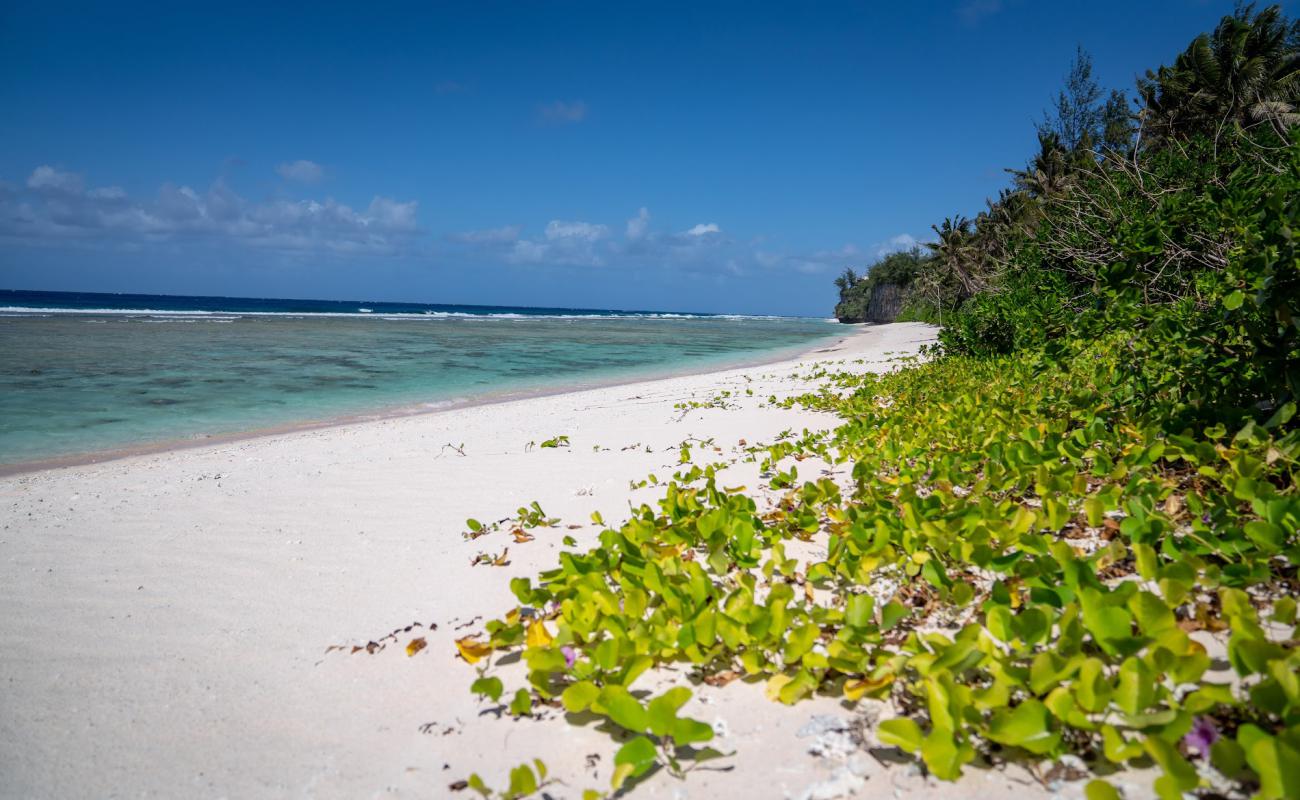 Photo de Coco Palm Beach avec sable brillant et rochers de surface