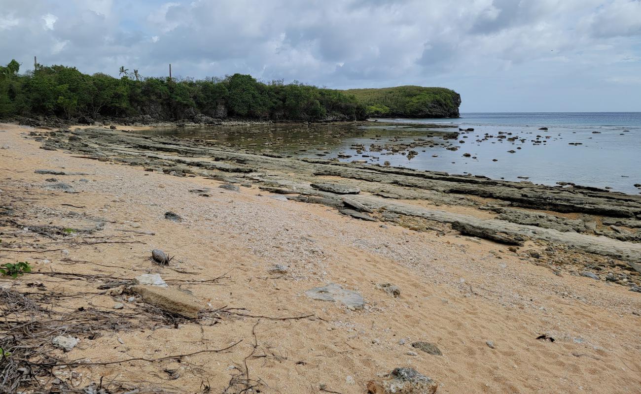 Photo de Old Wives Beach avec roches de surface