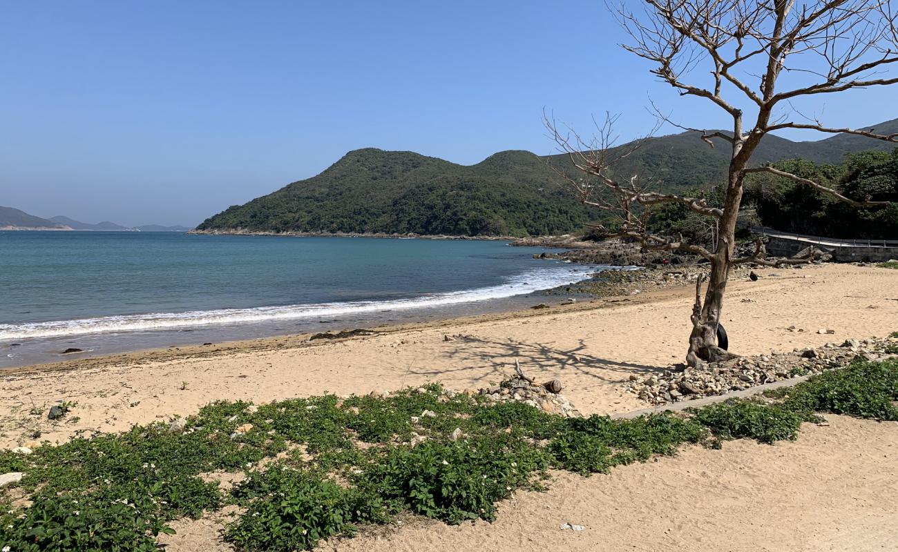 Photo de Sheung Sze Wan Beach avec sable beige & pierres de surface