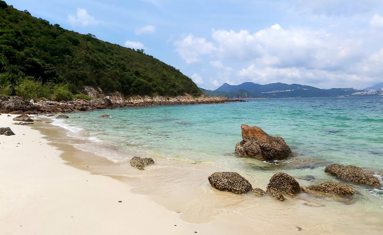Photo de Whiskey Beach avec sable beige de surface