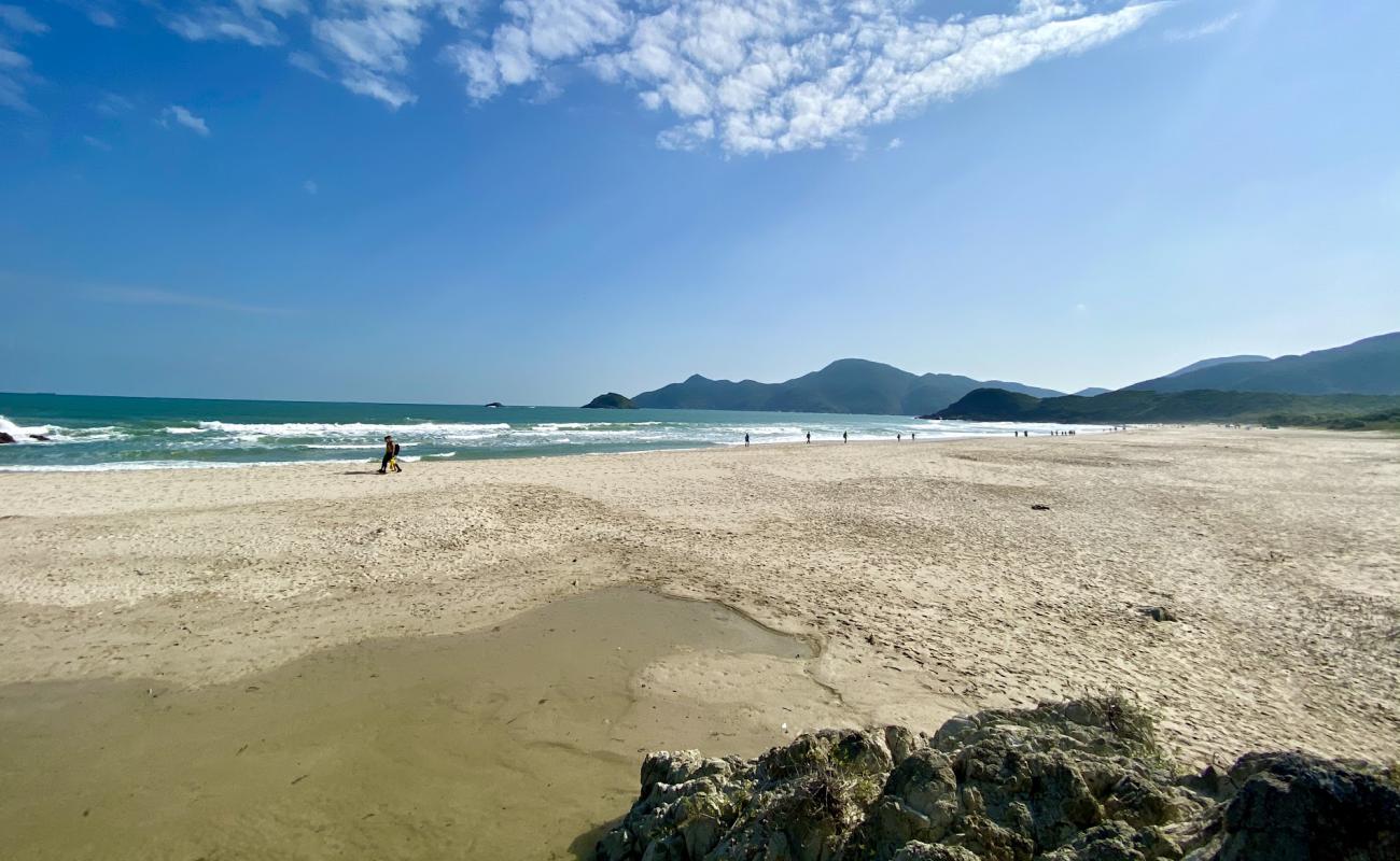 Photo de Tai Wan avec sable lumineux de surface