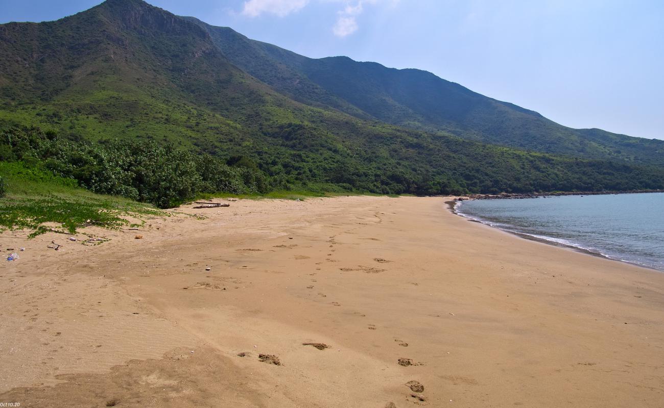 Photo de Tsin Yue Wan avec sable beige de surface