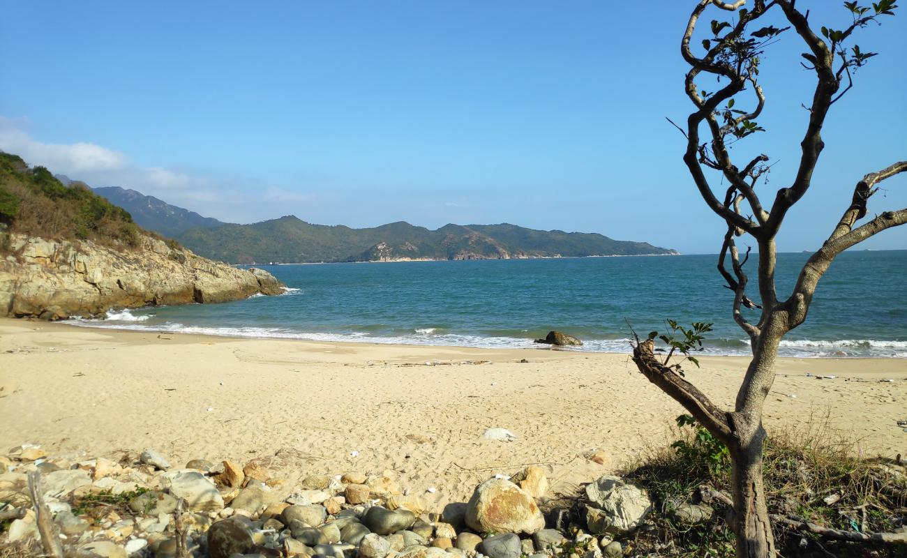 Photo de Tai Long Wan Campsite avec sable beige de surface