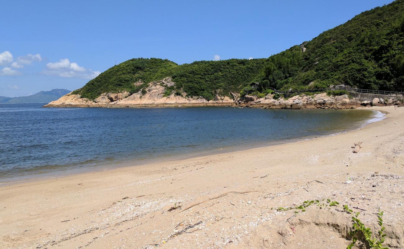 Photo de Coral Beach avec caillou clair de surface