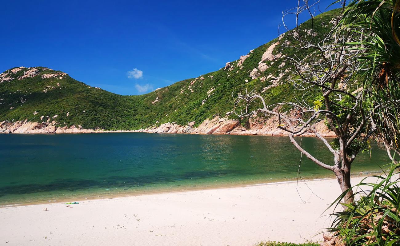Photo de Sham Wan Beach avec sable beige de surface