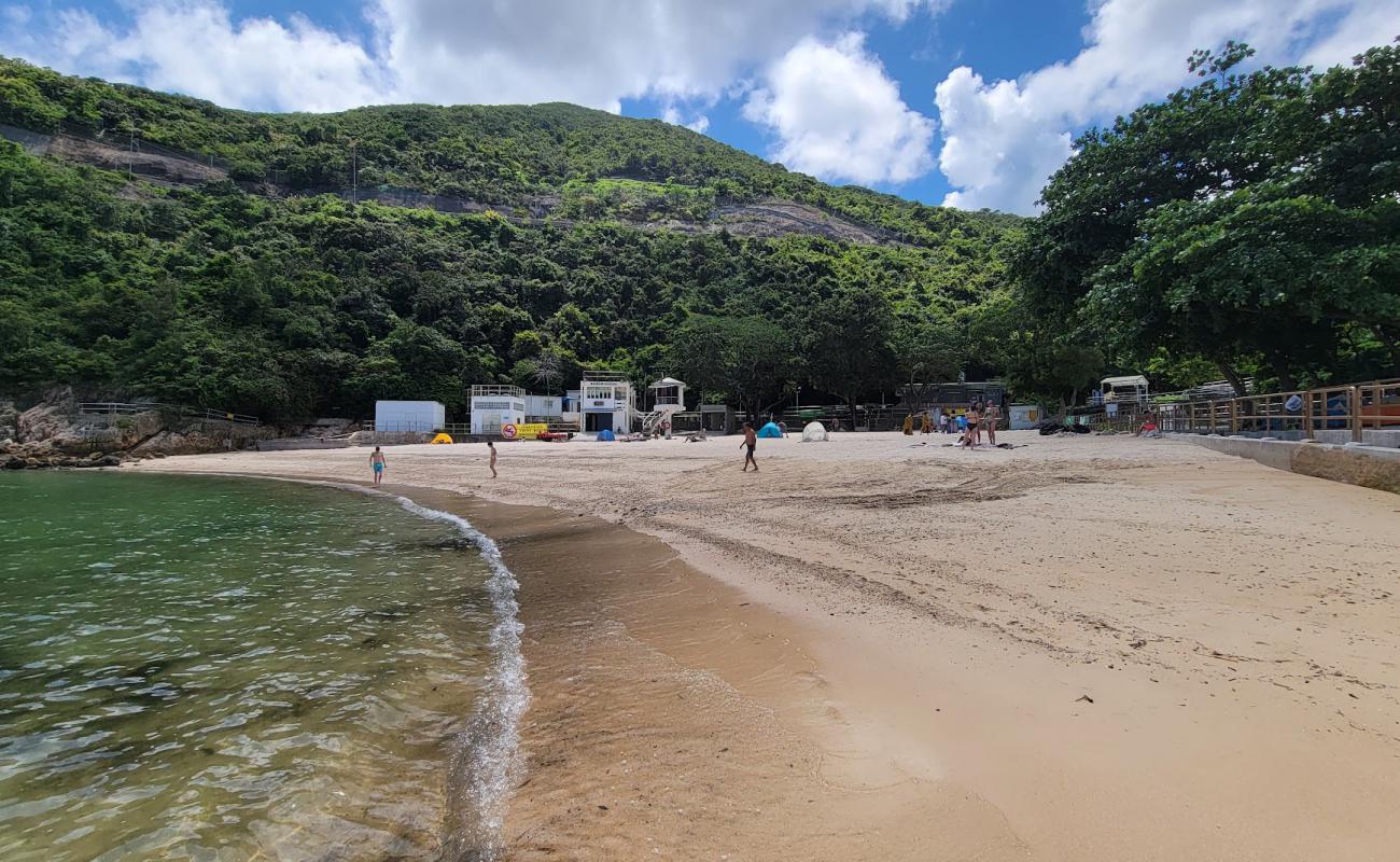Photo de Turtle Cove Beach avec sable beige de surface