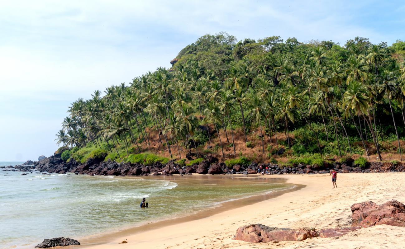 Photo de Cabo de Rama Beach avec sable beige de surface